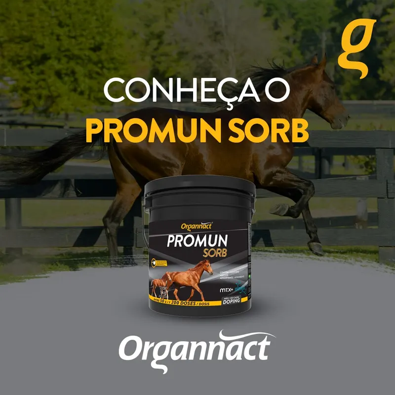 PROMUN SORB