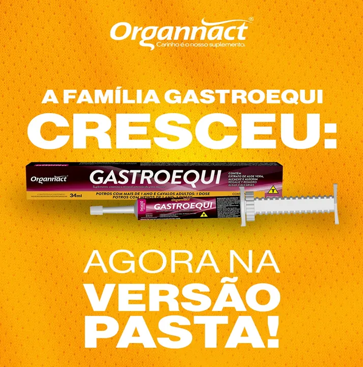 Gastroequi Pasta