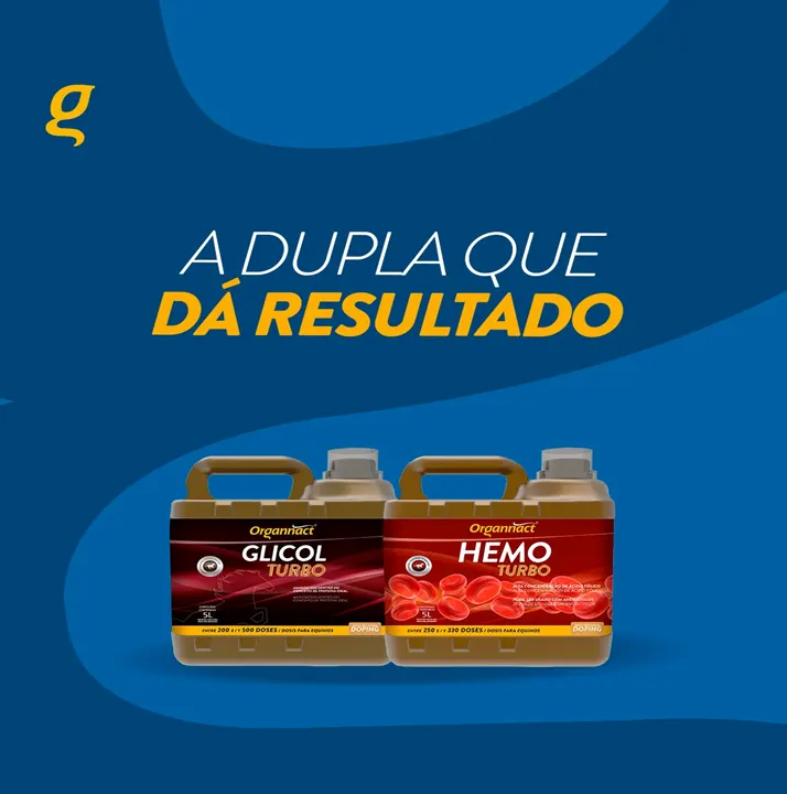A DUPLA QUE DÁ RESULTADO!