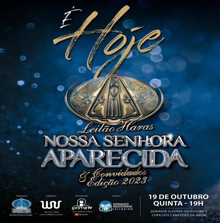 LEILÃO HARAS NOSSA SENHORA APARECIDA
