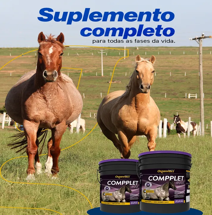 COMPPLET MAX