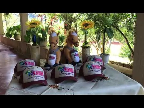 Gincana NBHA BRAZIL