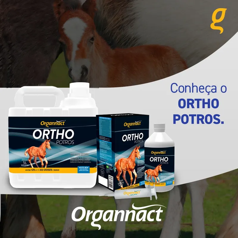 Ortho Potros
