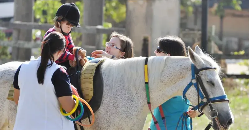 Governo recebe doação de cavalos para atividades de equoterapia