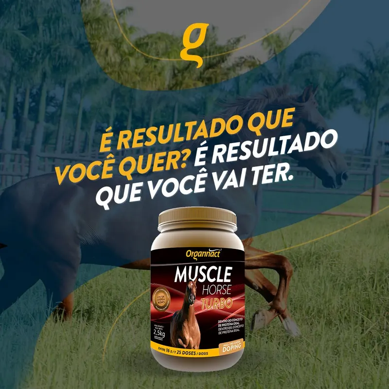 MUSCLE HORSE TURBO