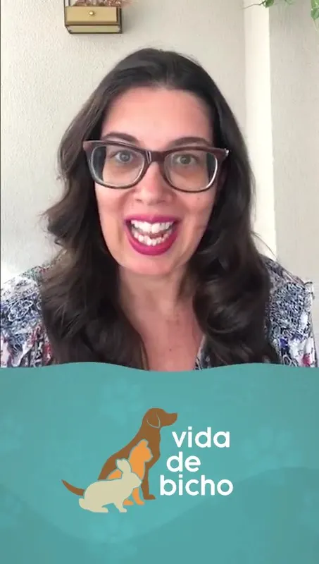 Conheça o Vida de Bicho !