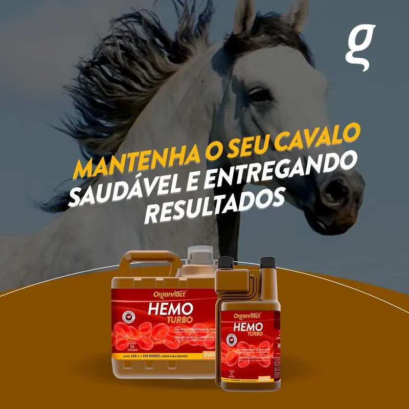 HEMO TURBO