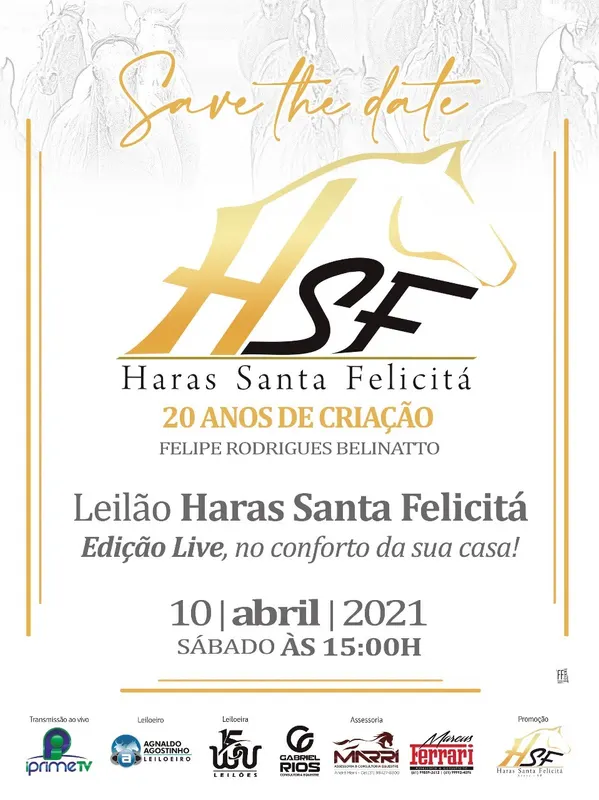 Grande leilão Haras Santa Felicitá – 20 anos de criação!