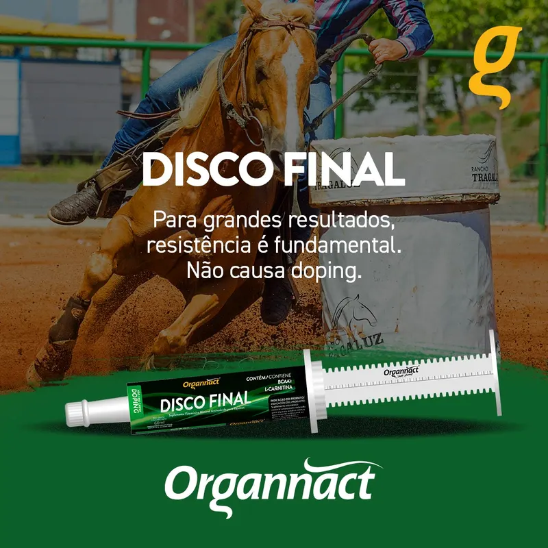 Disco Final