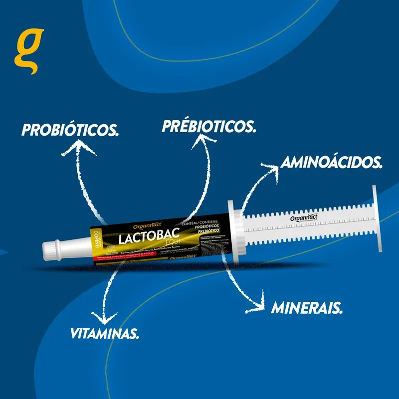 LACTOBAC EQUI