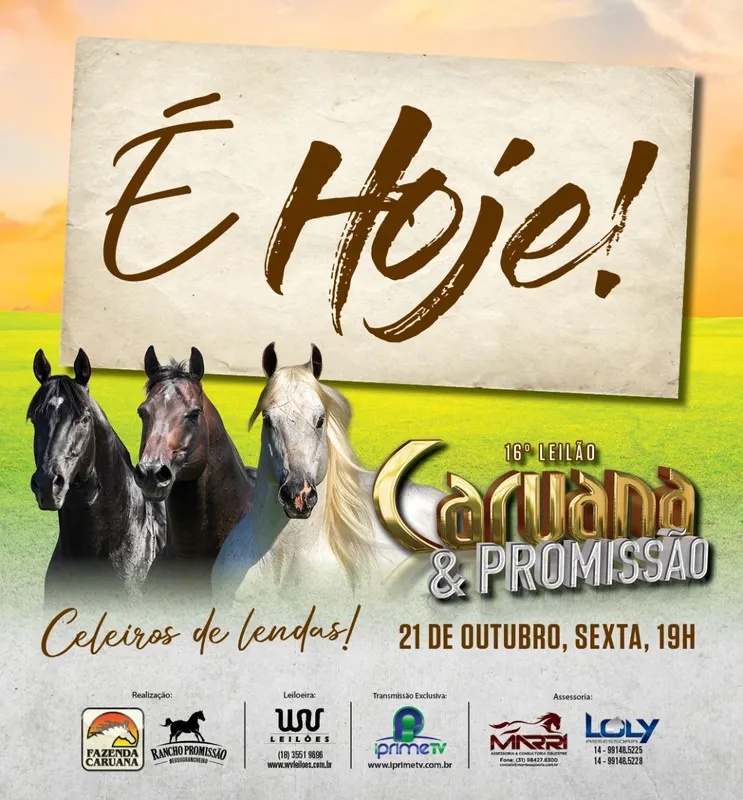 16º LEILÃO CARUANA & PROMISSÃO