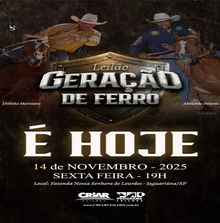 LEILÃO GERAÇÃO DE FERRO