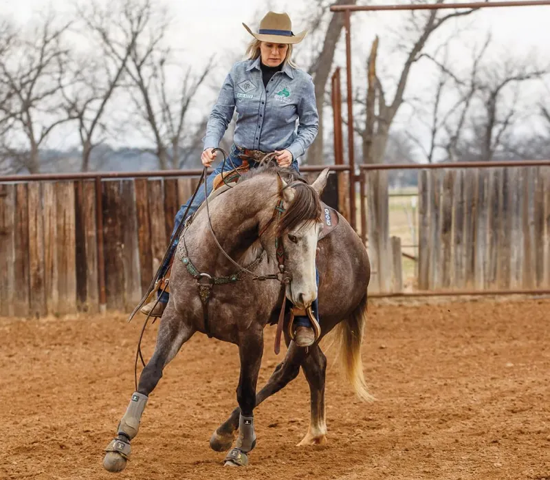Tire as mãos: ensine seu cavalo a manter uma estrutura