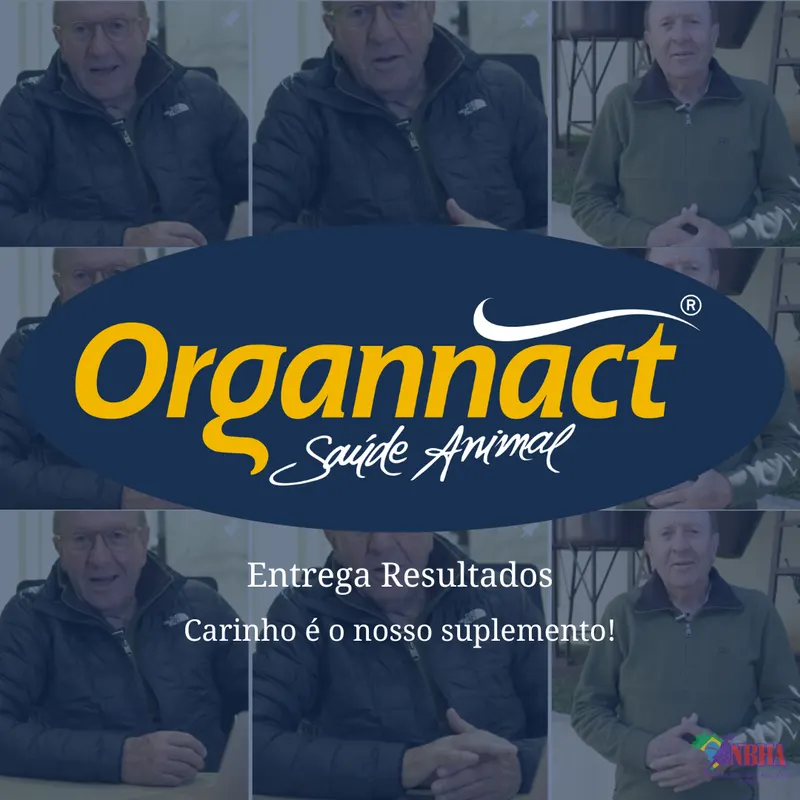 ORGANNACT – ENTREGA RESULTADOS
