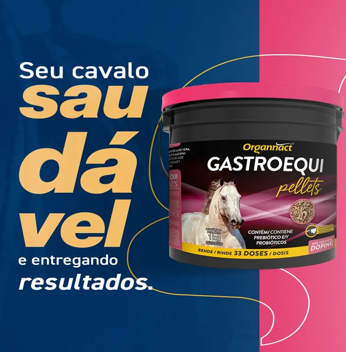 GASTROEQUI