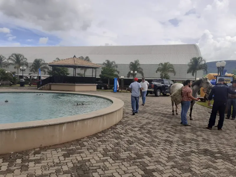 Conheça um pouco do Haras NSG!