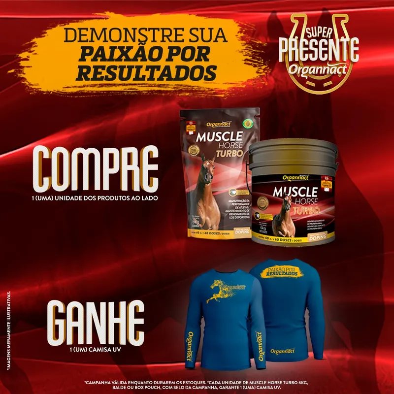 ORGANNACT – SUPER PRESENTE VOLTOU!