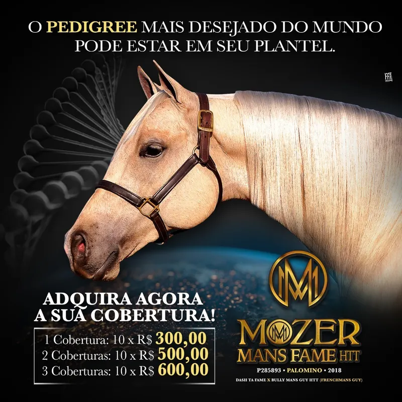 Mozers Mans Fame genética campeã