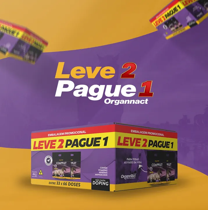 LEVE 2 E PAGUE 1