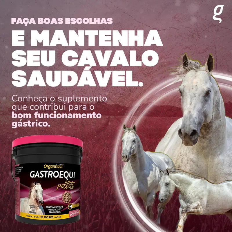 GASTRO EQUI PELLETS