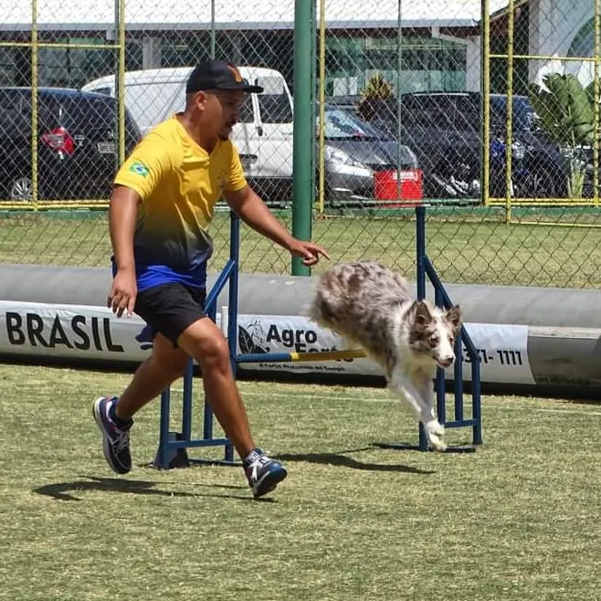 Provas de Agility e Tambor Dog unem duas paixões dos tamborzeiros na Super Semana do Tamb