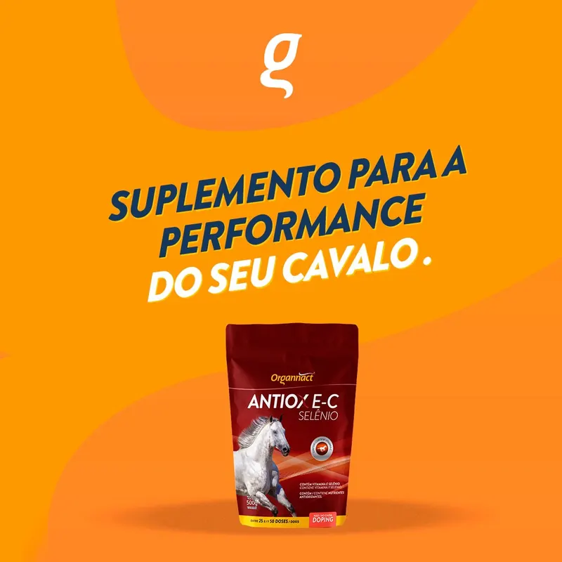 Antiox E-C Selênio