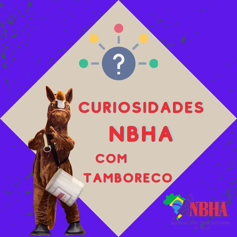 Inspeção nas Competições