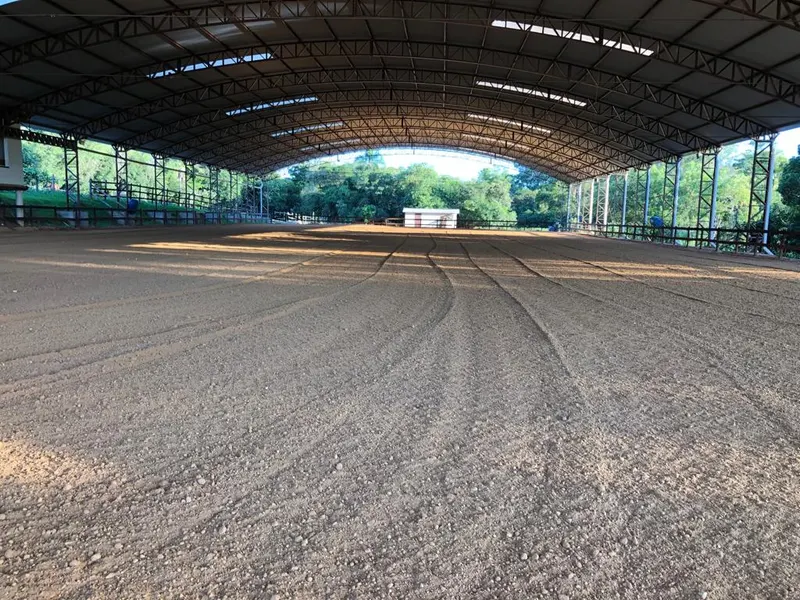 Devemos dar atenção ao solo em que submetemos os cavalos a se exercitarem?