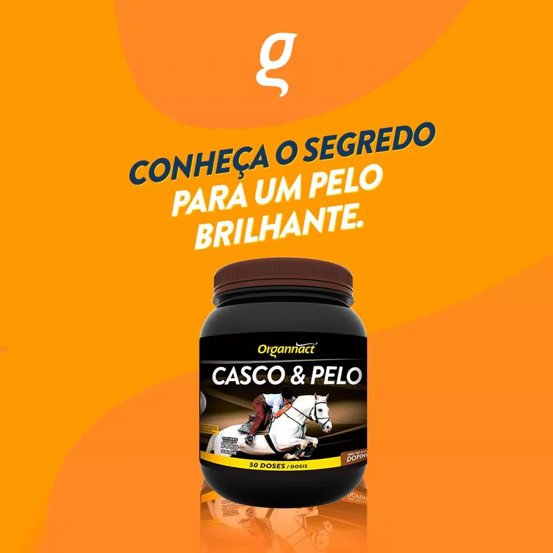 Casco & Pelo – ORGANNACT