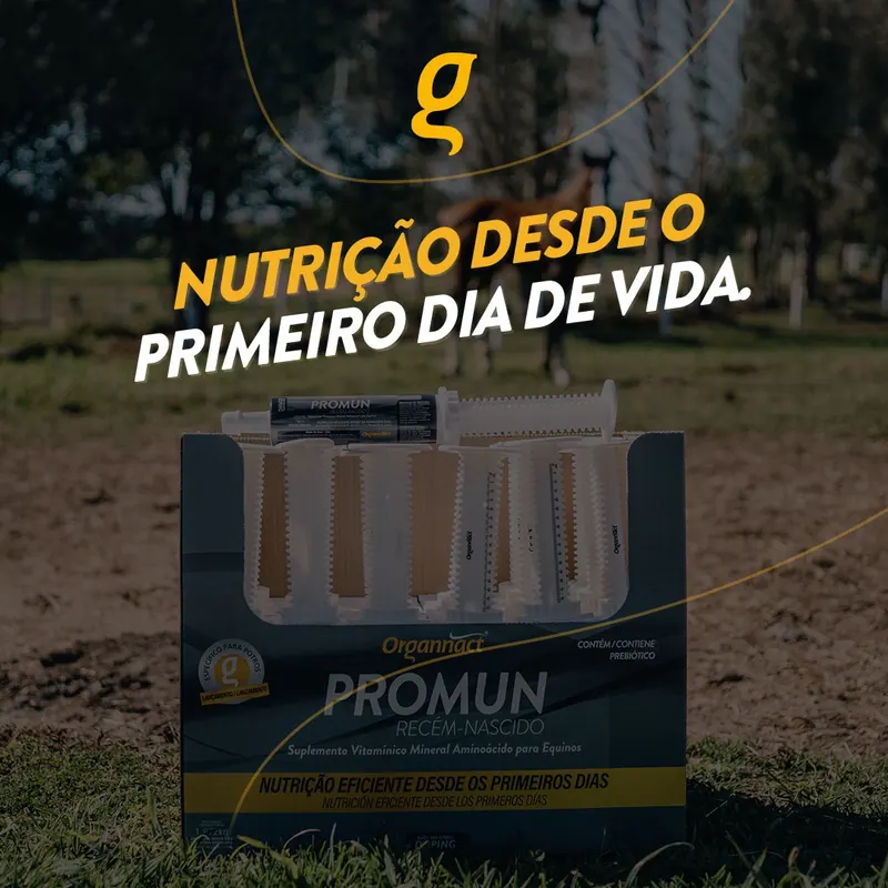 PROMUN RECÉM-NASCIDO