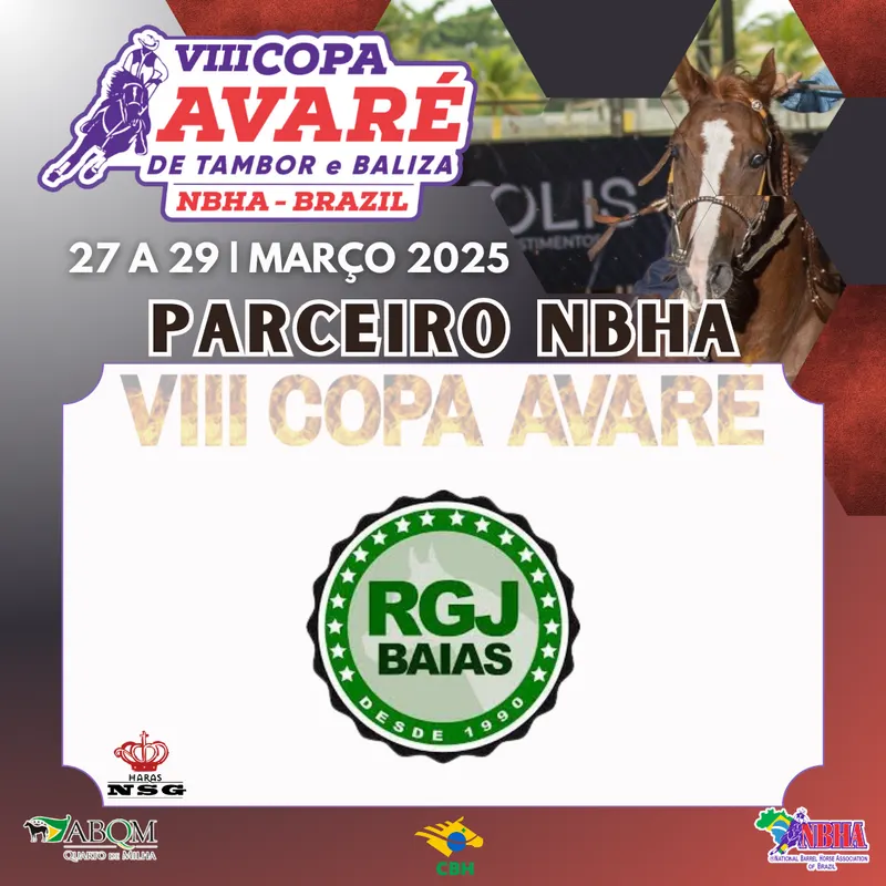 4ª ETAPA VIII COPA AVARÉ TAMBOR & BALIZA – RGJ BAIAS