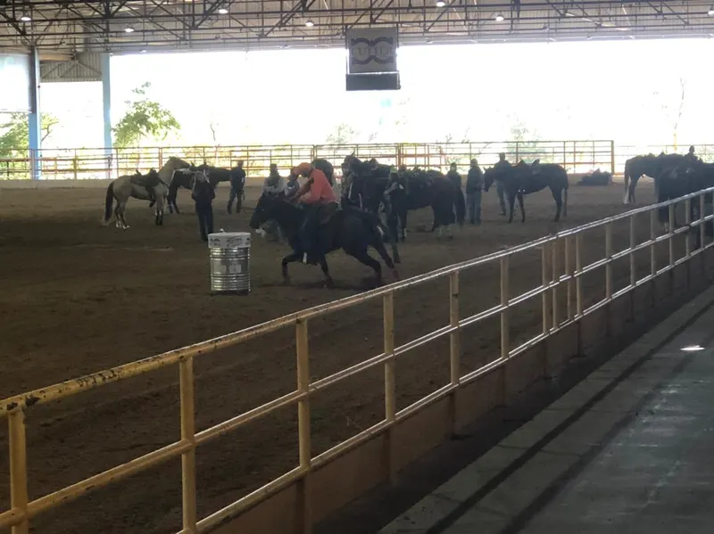 Já está acontecendo na pista do Haras Raphaela a Clínica com o recordista mundial Sidnei Júnior.