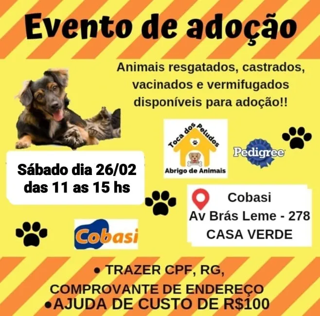 Adote um Amigo Fiel !