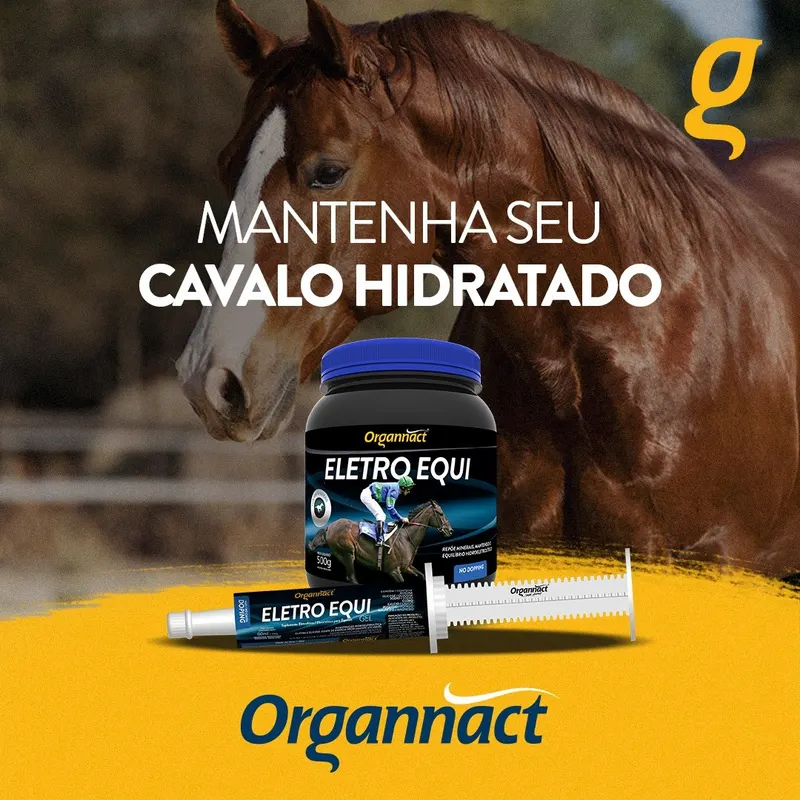 VOCÊ CONHECE O ELETRO EQUI? – Organnact