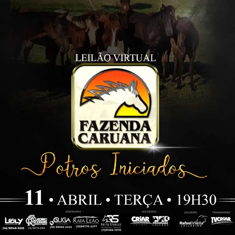 LEILÃO VIRTUAL – FAZENDA CARUANA