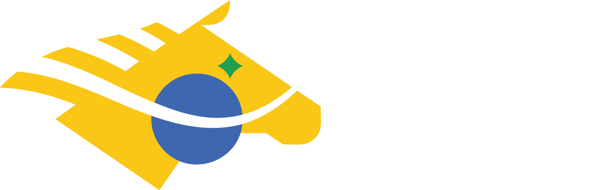 Confederação Brasileira de Hipismo